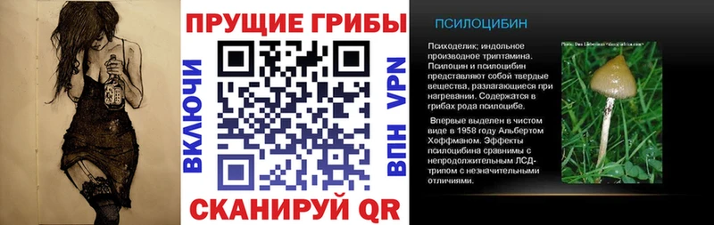 Галлюциногенные грибы GOLDEN TEACHER как найти закладки Таруса